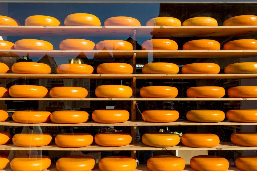 Multiple wheels of Gouda cheese displayed in a shop window with outdoor reflections.